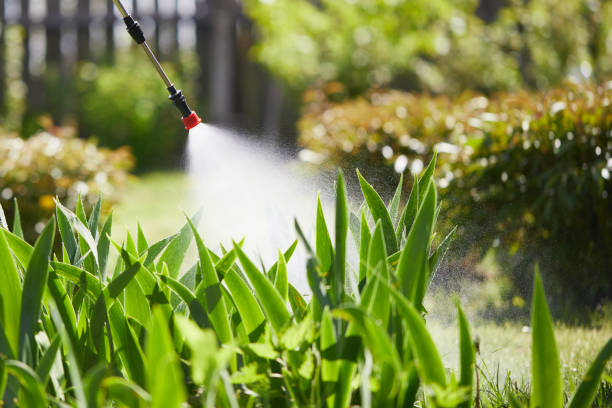 Tamper-Resistant Bait Stations for Rodents in Ironton
