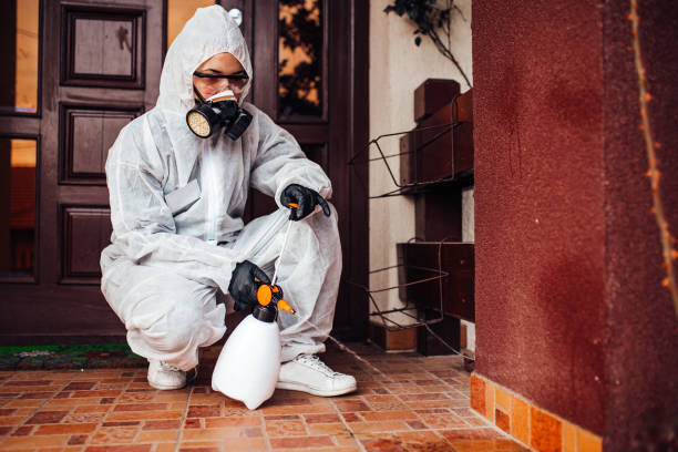 Attic and Crawl Space Rodent Treatment in Ironton